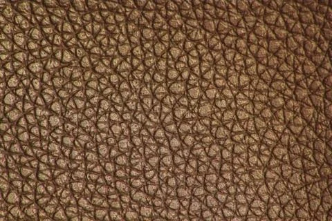 Borwn leather Foto stock