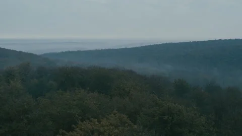 Bos mist 1 스톡 동영상 134562707