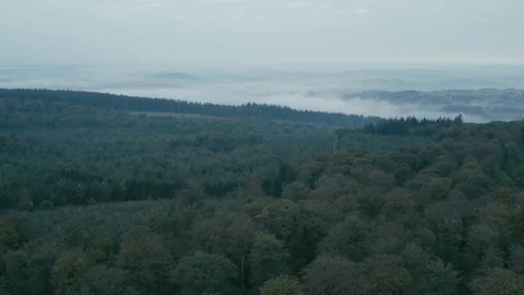 Bos mist 2 스톡 동영상 134563546