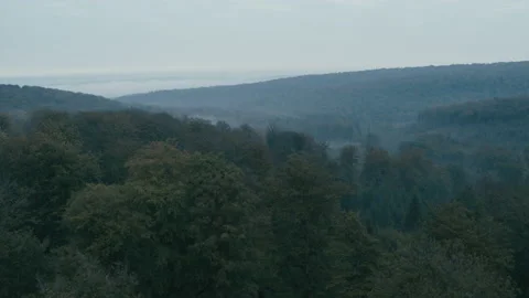 Bos mist 3 스톡 동영상 134559505