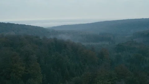 Bos mist 4 스톡 동영상 134560584