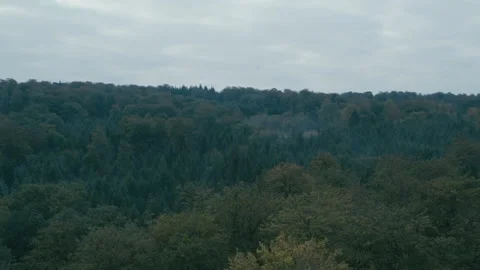 Bos mist 6 스톡 동영상 134560799