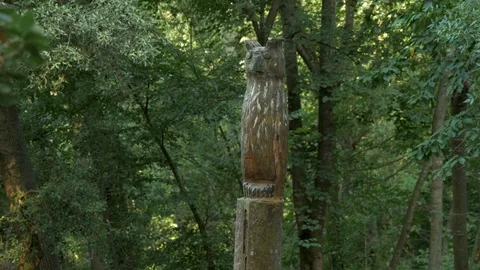 Bosc Encantat enchanted forest owl sculpture side wood Stock Footage 120924024