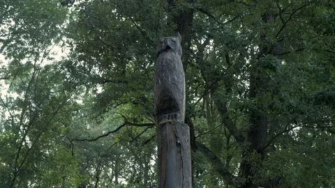 Bosc Encantat enchanted forest owl sculpture wood Stock Footage 120924033