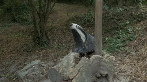Bosc Encantat enchanted forest skunk sculpture wood Stock Footage 120924199