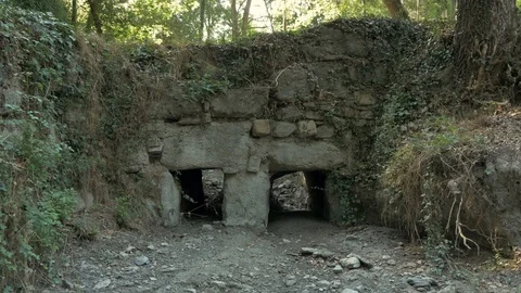Bosc Encantat enchanted forest stream gully bridge Stock Footage 120924344