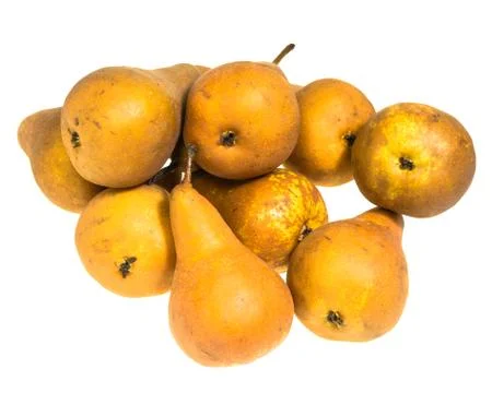 Bosc pears isolated on white Stock Photos