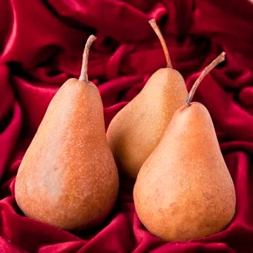 Bosc pears Stock Photos