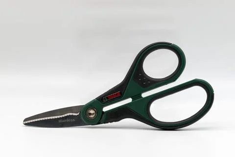 Bosch multi purpose scissors isolated on white. Foto stock