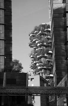 The Bosco Verticale in Milan Stock Photos