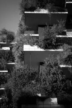 The Bosco Verticale in Milan Stock Photos