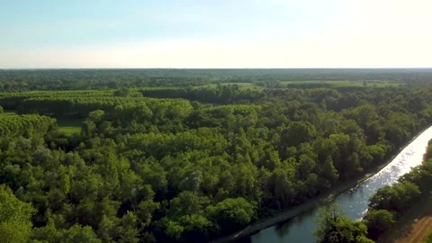 Bosco1 Stock Footage 160296824