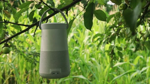 Bose Speaker Hanging on Apple Tree CU Stock Footage 135676660