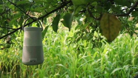 Bose Speaker Hanging on Apple Tree MS Stock Footage 135738705