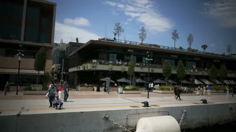Bosfor01 Stock Footage 247653605