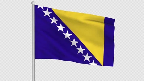 Bosnia Flag Video stock 212096524