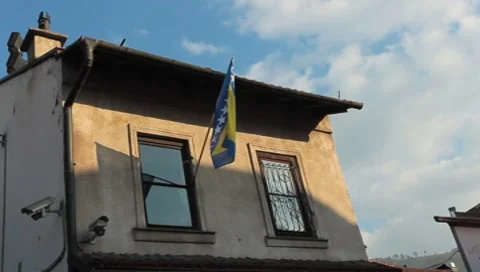 Bosnian flag 스톡 동영상 8656501