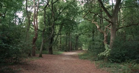 Bospad Stock Footage 148329138