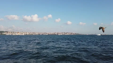 Bosphorus Day Time Stock-Footage 230452704
