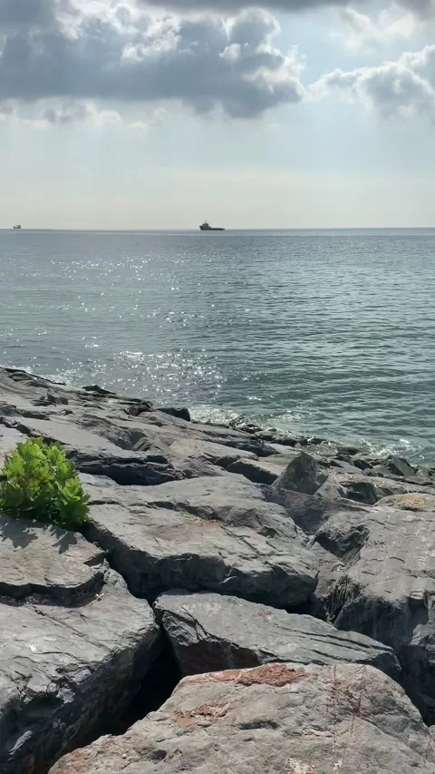 Bosphorus 库存影片 237445415