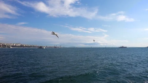 Bosphorus panorama. Stock Footage 87914931