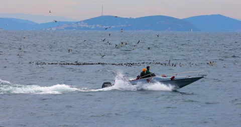 Bosphorus Strait Boat Stock Footage 218173254