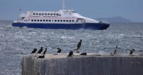 Bosphorus Strait Boat 스톡 동영상 218174817