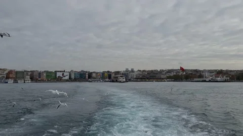 Bosphorus strait sea view and also seagulls while on board Stock Footage 210232193
