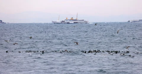 Bosphorus Strait Ship Stock Footage 218173646