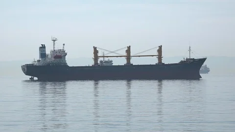 The Bosphorus was closed to ship traffic due to the coronavirus Stock Footage 129600662