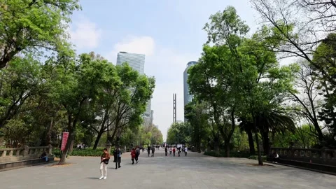 Bosque de Chapultepec - Historic Park, Forest, And Ecological Space In Mexico Vidéo 331207295
