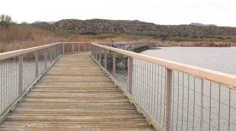 Bosque del Apache Artist Stock Footage 70197