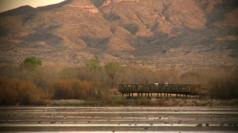 Bosque del Apache Scenic Stock Footage 69708