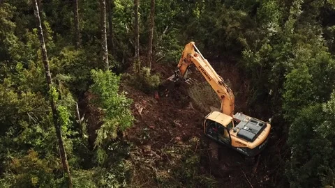 BOSQUE RETROEXCAVADORA  2 Stock Footage 148308254