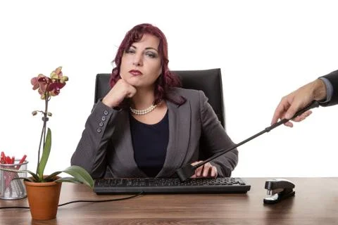 The boss at work Stock Photos