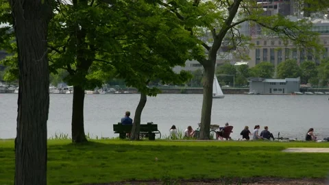 Boston Charles River Scene Stock Footage 146995293