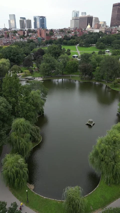 Boston Common - Aerial view Stock Footage 311983081