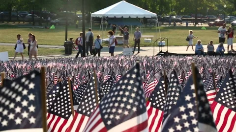 BOSTON COMMON FLAGS Stock Footage 178598450