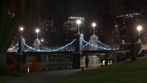Boston Common at Night Stock Footage 73496086