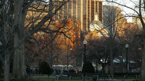 Boston Common Winter Video stock 71109859