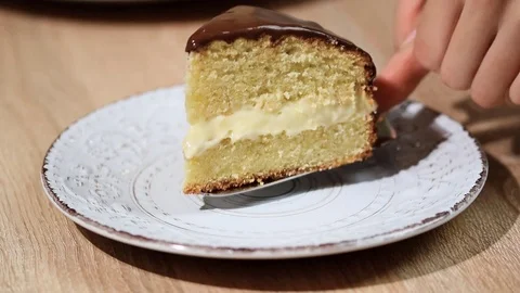 Boston cream pie with chocolate glazing. Put it in the bowl a piece of Boston Stock Footage 80310973