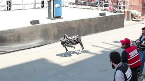 Boston Dynamics Spot Robot Stock Footage 55032055