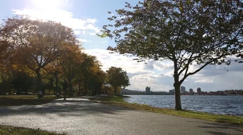 Boston Esplanade Man Running Outside Stock Footage 56194768