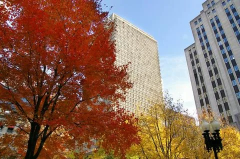 Boston fall foliage Stock Photos