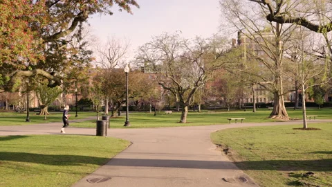 Boston  garden runner Stock Footage 192440296