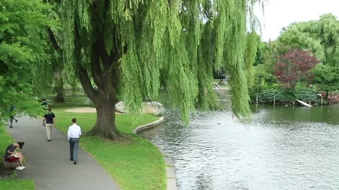 Boston Gardens 5 스톡 동영상 130282768