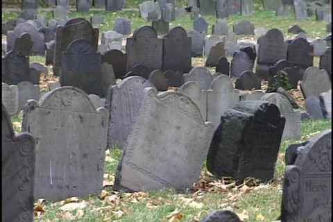 Boston Graveyard 2 Stock Footage 296868