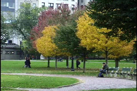 Boston Park in Fall Stock Footage 296871