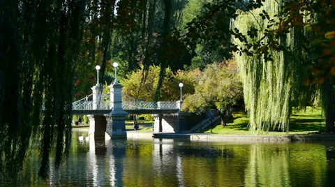 Boston Public Garden in Fall Video stock 32078855