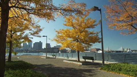 Boston Scenics Stock Footage 123910752